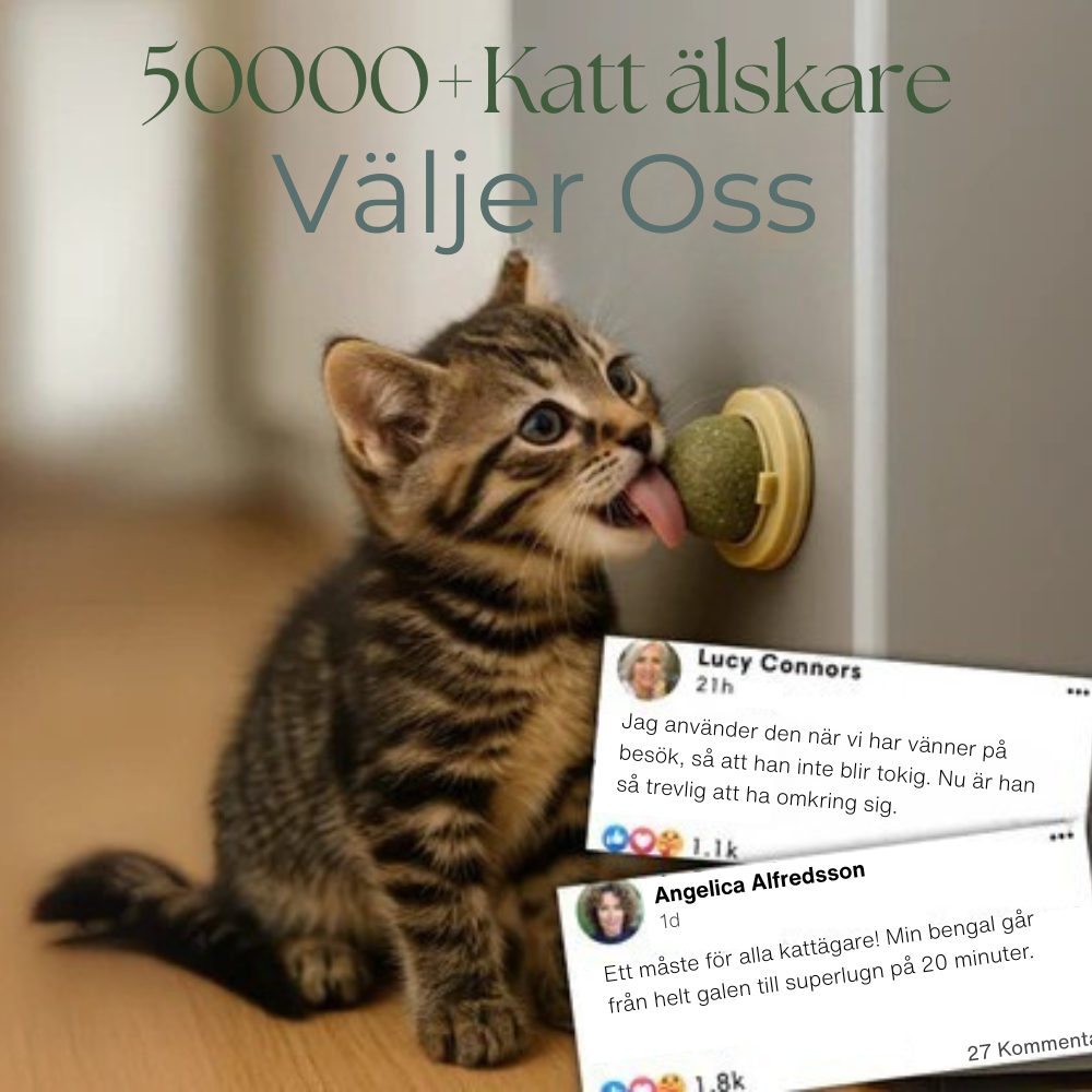 MjaoMint™ For din katts beste velmående